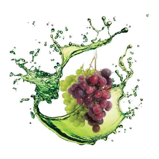 Kelpak on table grapes